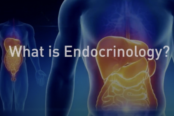 What is Endocrinology?