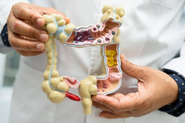The Connection Between Digestive Health and Internal Medicine